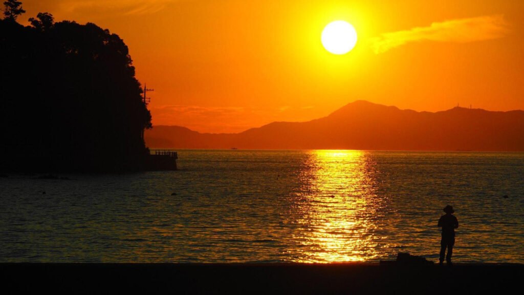 🏞️ 미사키 공원 (미사키 차야) 이미지 9